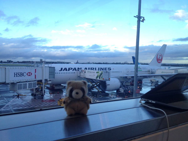 JAL Plane