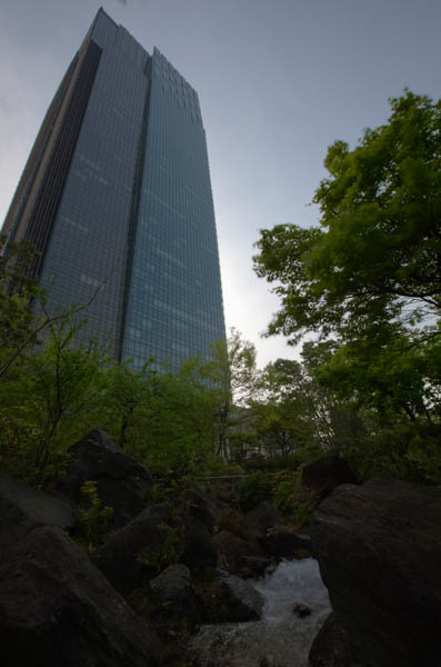 Skyscraper Garden